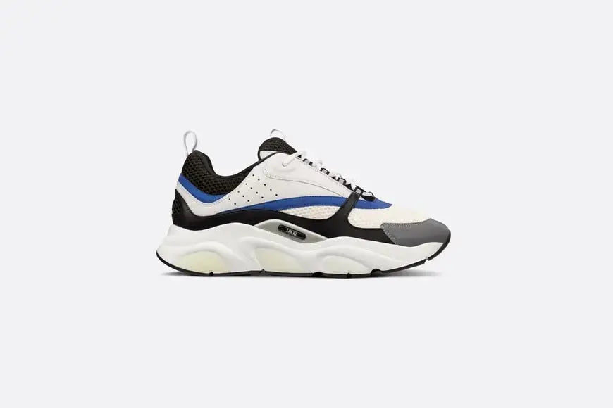 Dior B22 Bleu & Blanc Givré SneakStyle