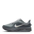 Nike Pegasus Premium 41 Gris