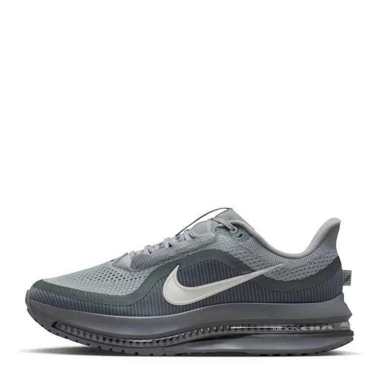Nike Pegasus Premium 41 Gris SneakStyle