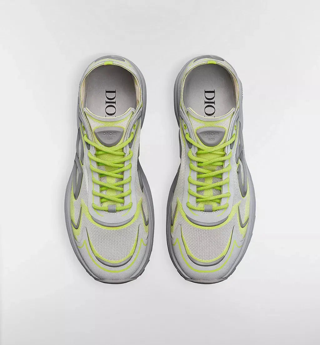Dior B30 Countdown Vert SneakStyle