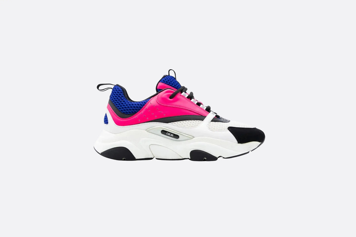 Dior B22 Rose & Bleu SneakStyle