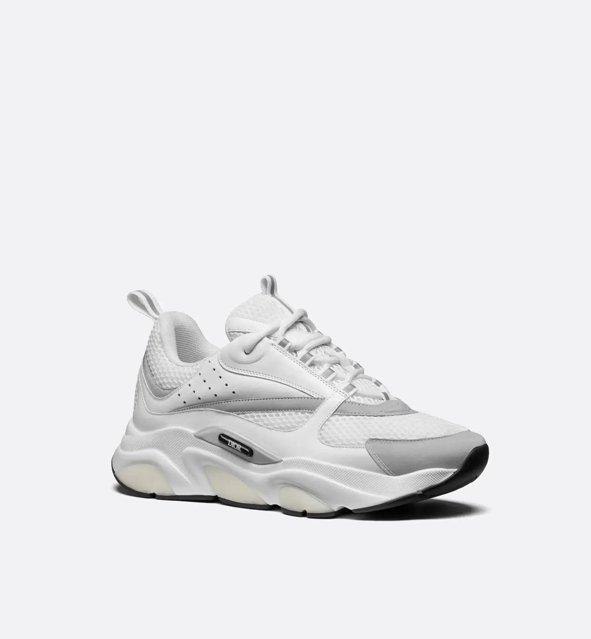 Dior B22 Blanc SneakStyle