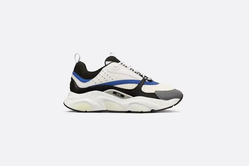 Dior B22 Bleu & Blanc Givré SneakStyle