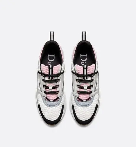 Dior B22 Rose Pâle & Gris SneakStyle