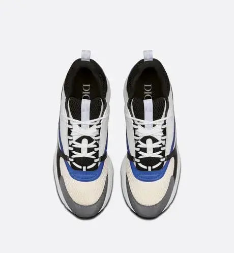 Dior B22 Bleu & Blanc Givré SneakStyle