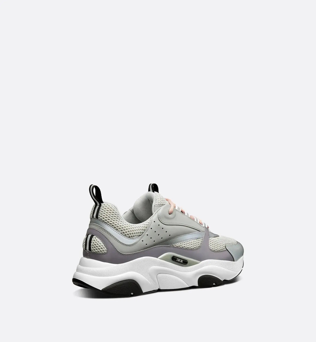 Dior B22 Gris & Rose SneakStyle