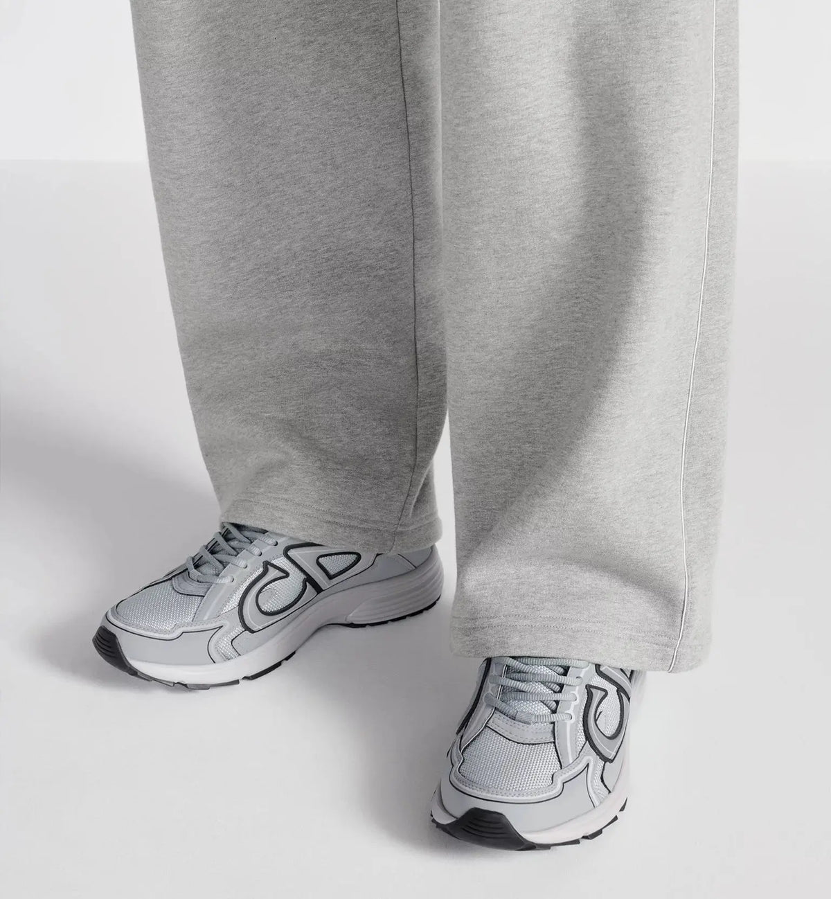Dior B30 Grise SneakStyle