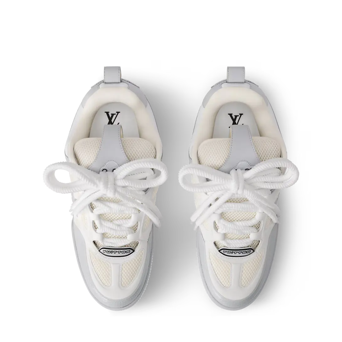 LV Skate Gris Et Beige SneakStyle
